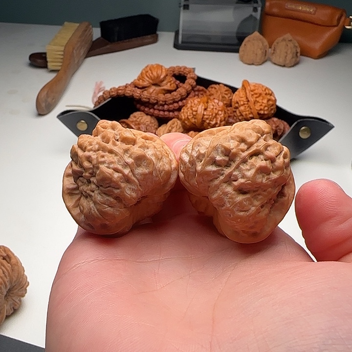 38-39-30矮桩蛙蟾型好B19号