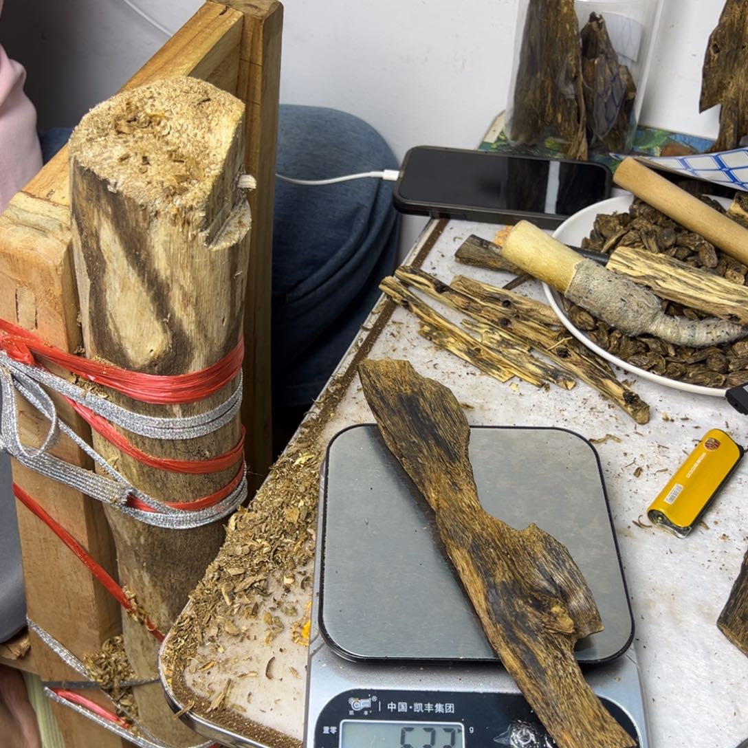 线香奇楠虫漏香63克