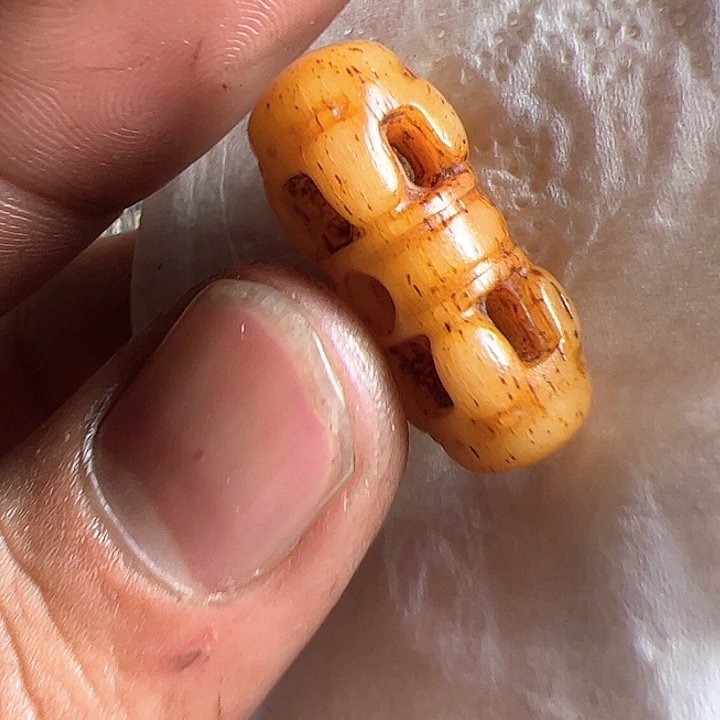 香榧木在这里的时候