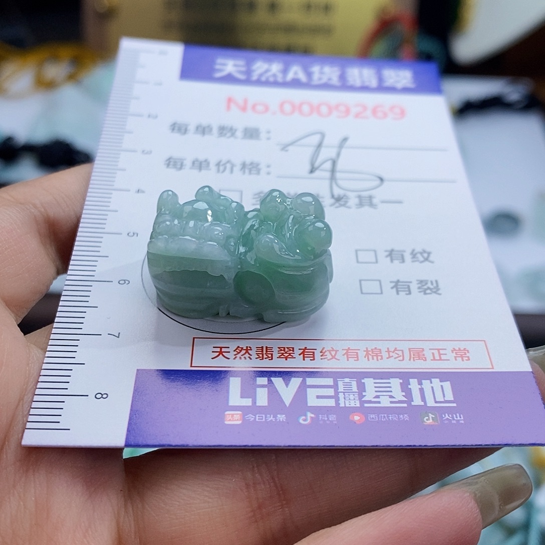 翡翠未镶嵌颈饰9269