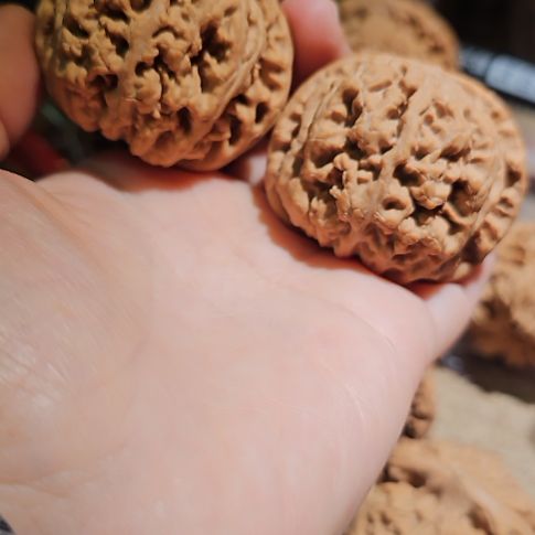 文玩核桃吊坠48.5粗筋