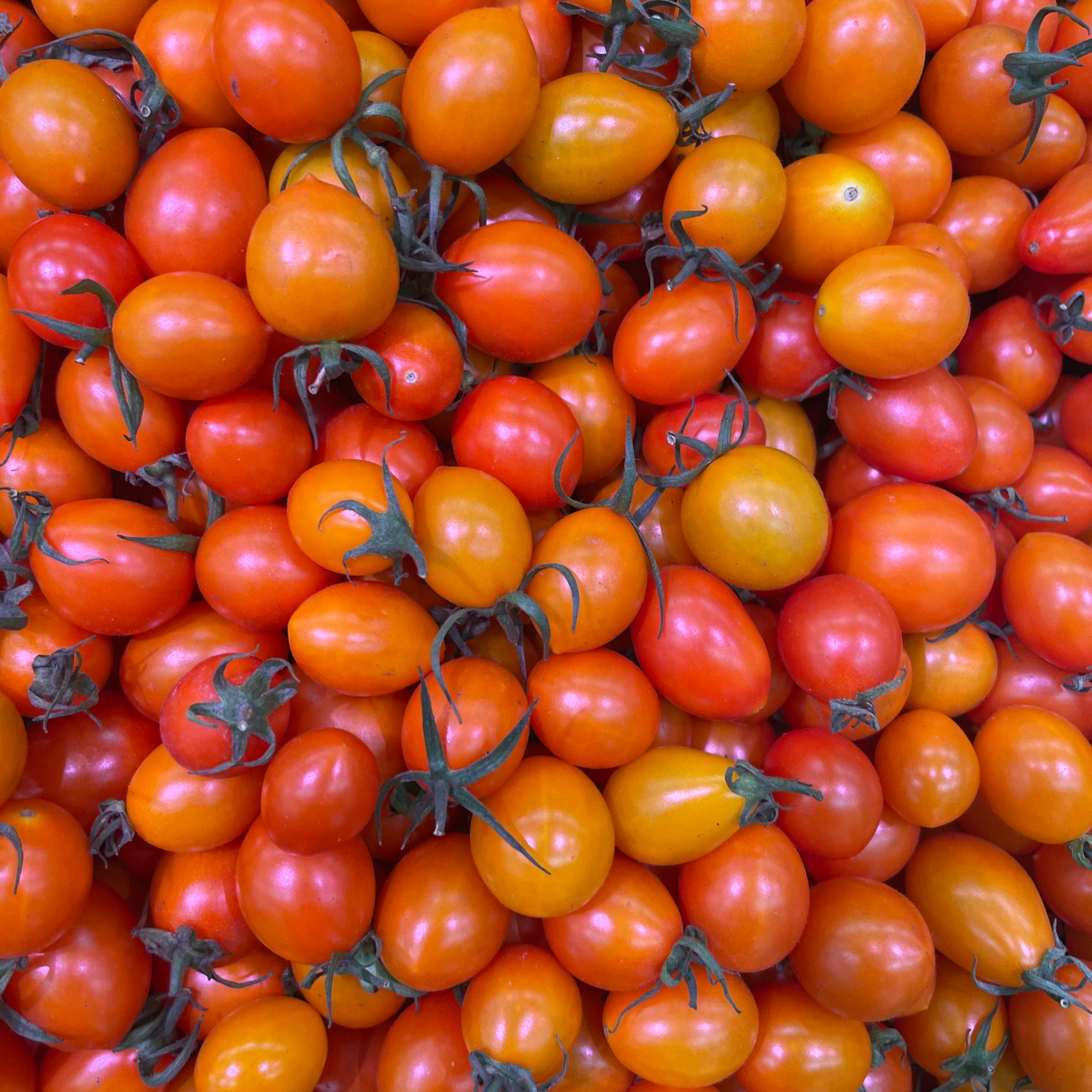 黄珍珠柿子 1斤左右（水果）