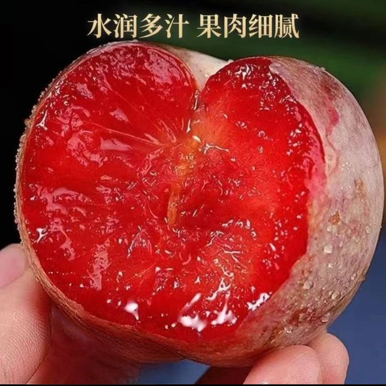 配送到家恐龙蛋李子