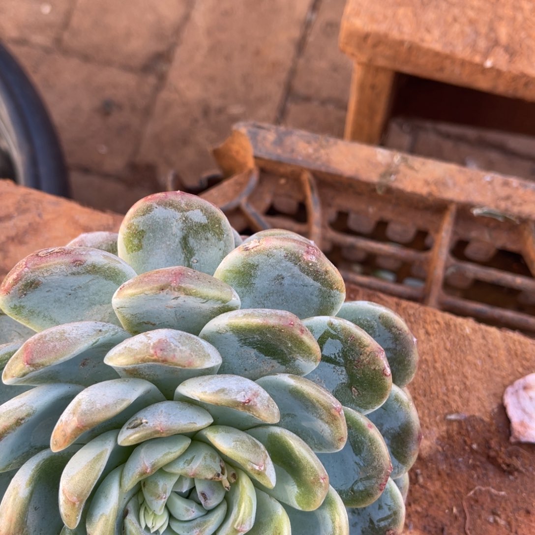 向***生十级福利整装无砍