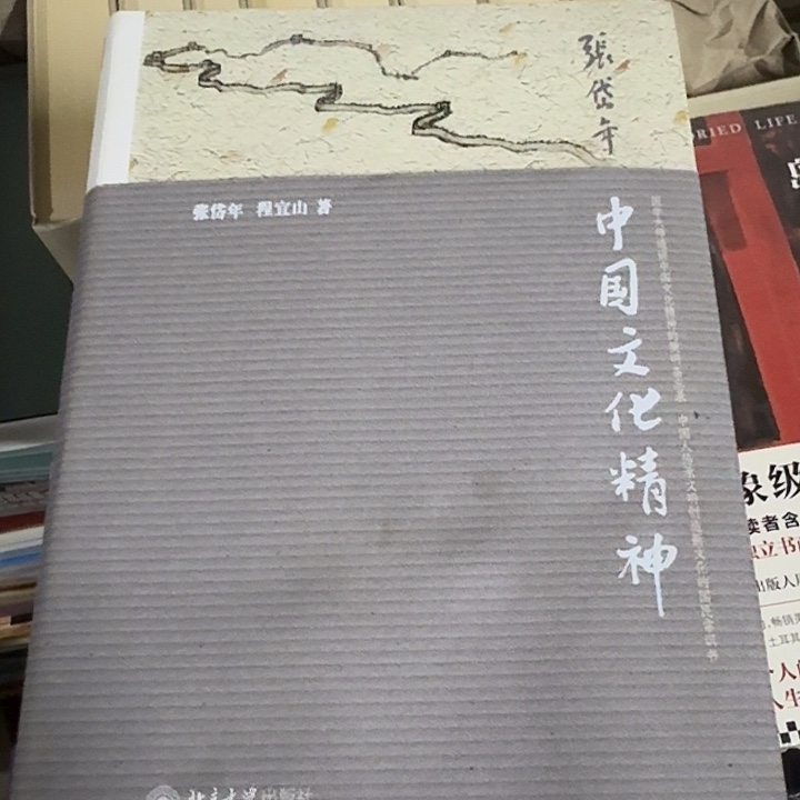 中国文化精神软精装正版