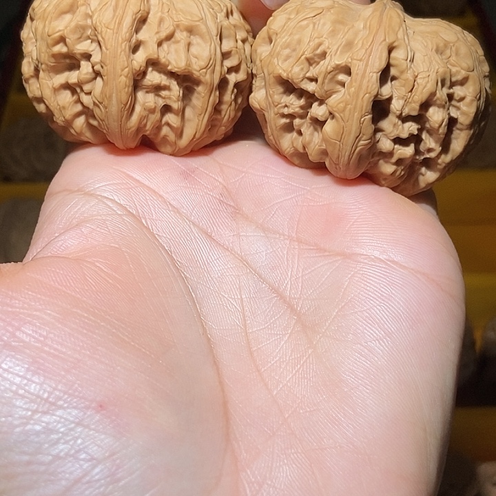 边38肚46元宝！好运连连
