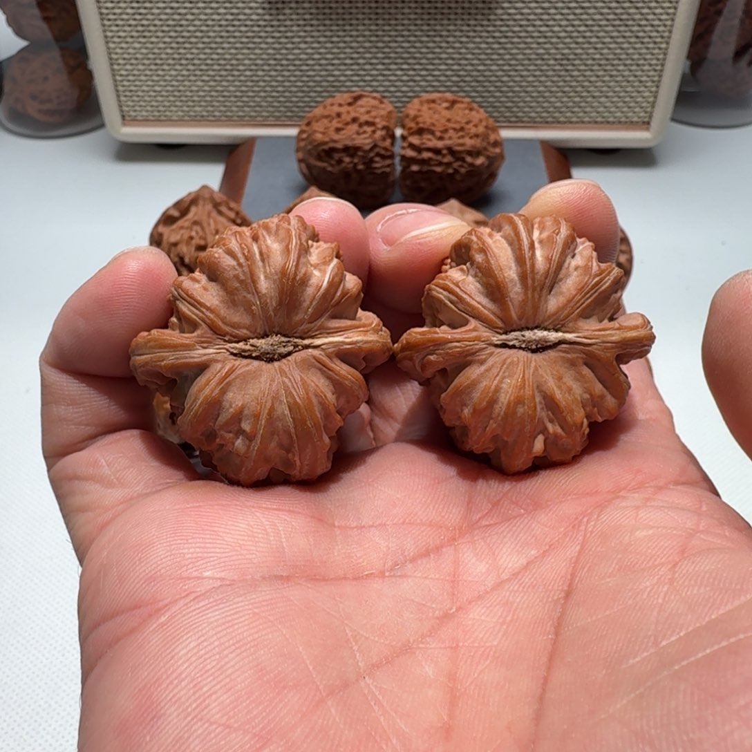 爱***t文玩核桃吊坠白狮子