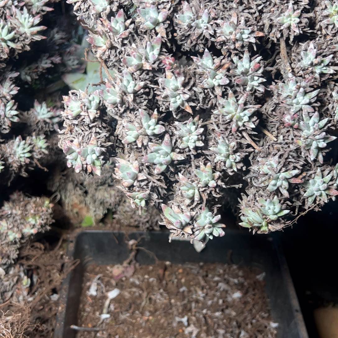 5733哈哈哈哈哈哈哈