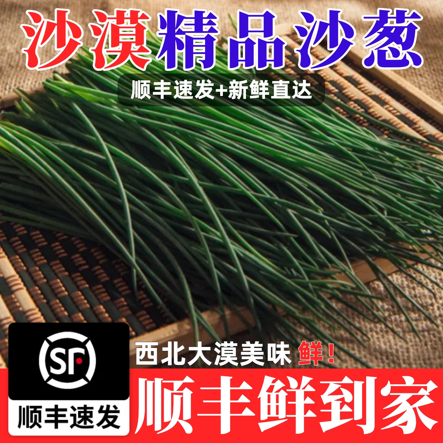 【顺丰快递】人工精选沙葱新鲜甘肃民勤特产现摘沙葱新鲜家常菜