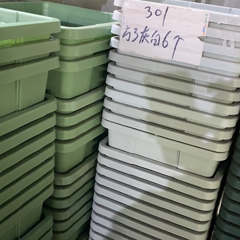 树脂微瑕编号301无托6个