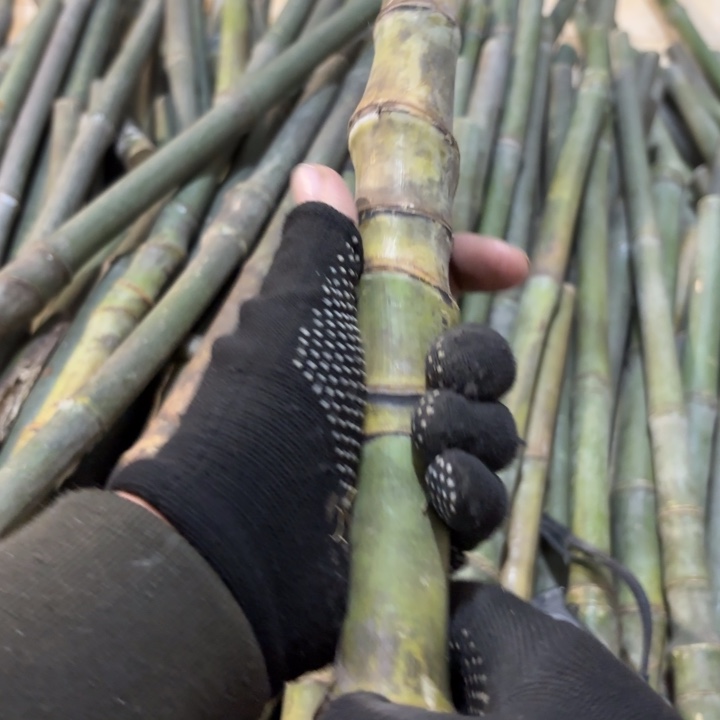 青***酒实心竹竹竹竹竹竹竹竹竹竹