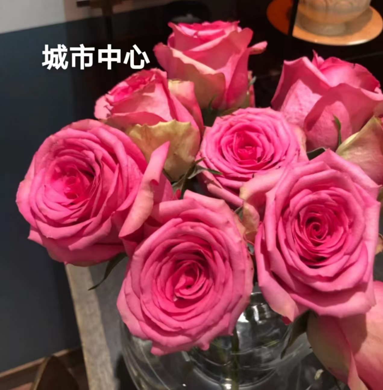 大花浓香月季花耐热多季节开花盆栽地栽玫瑰花苗多季勤花庭院花卉