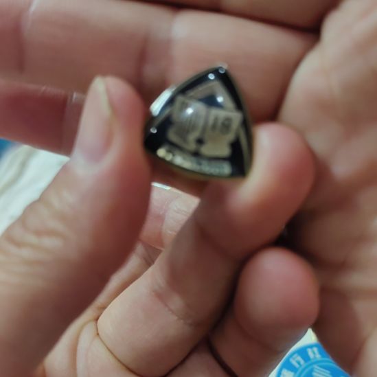 大***哥其他普通金属纪念章