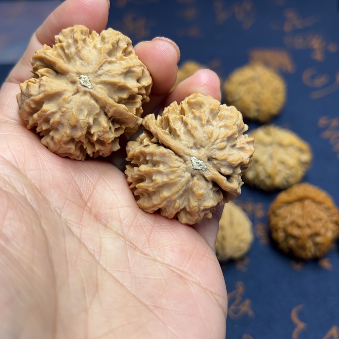 文玩核桃把件秦岭野生植物核桃