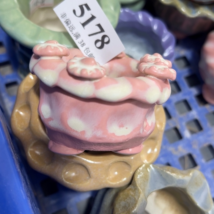 口4高4 ……手工花盆30元包邮