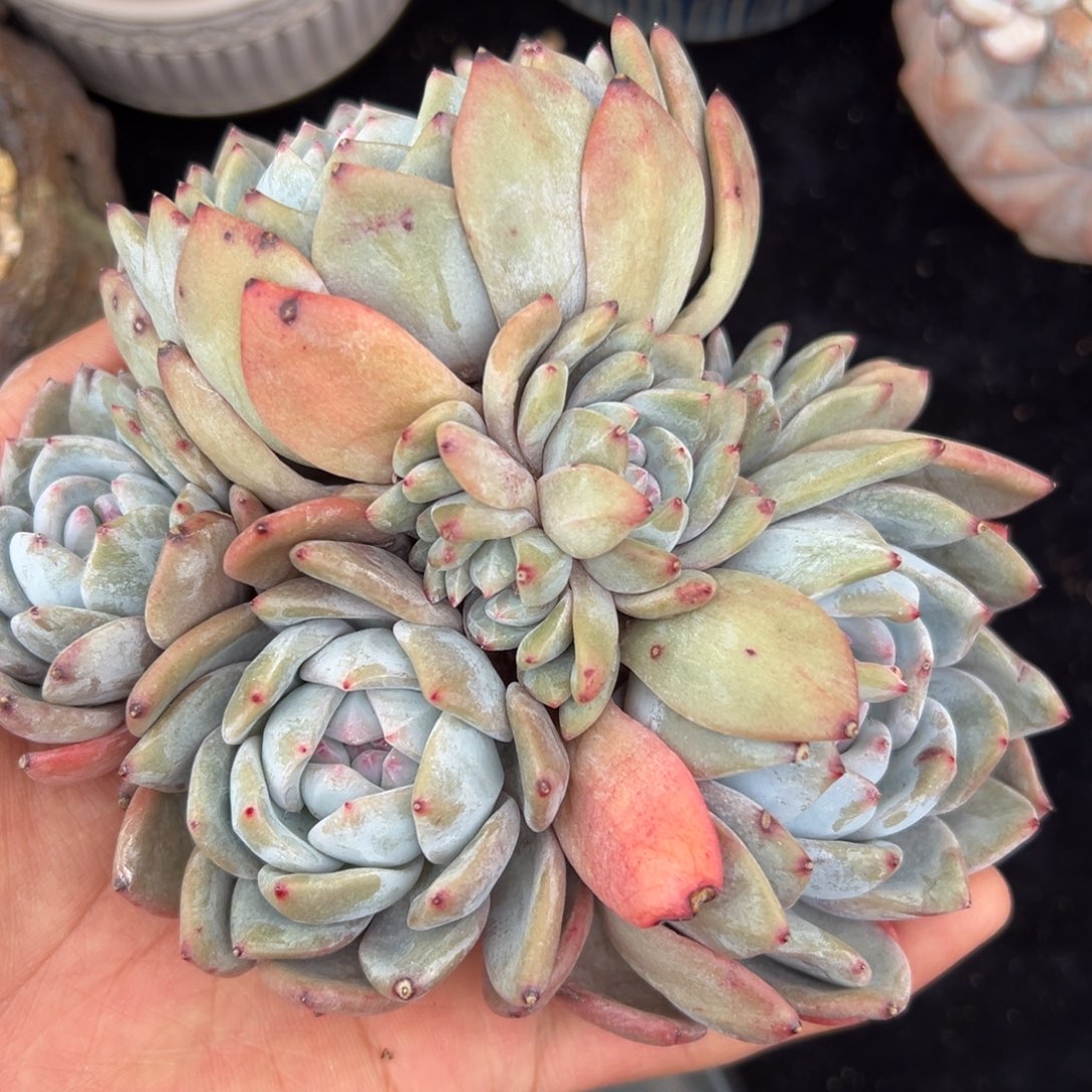 新年快乐 新年快乐