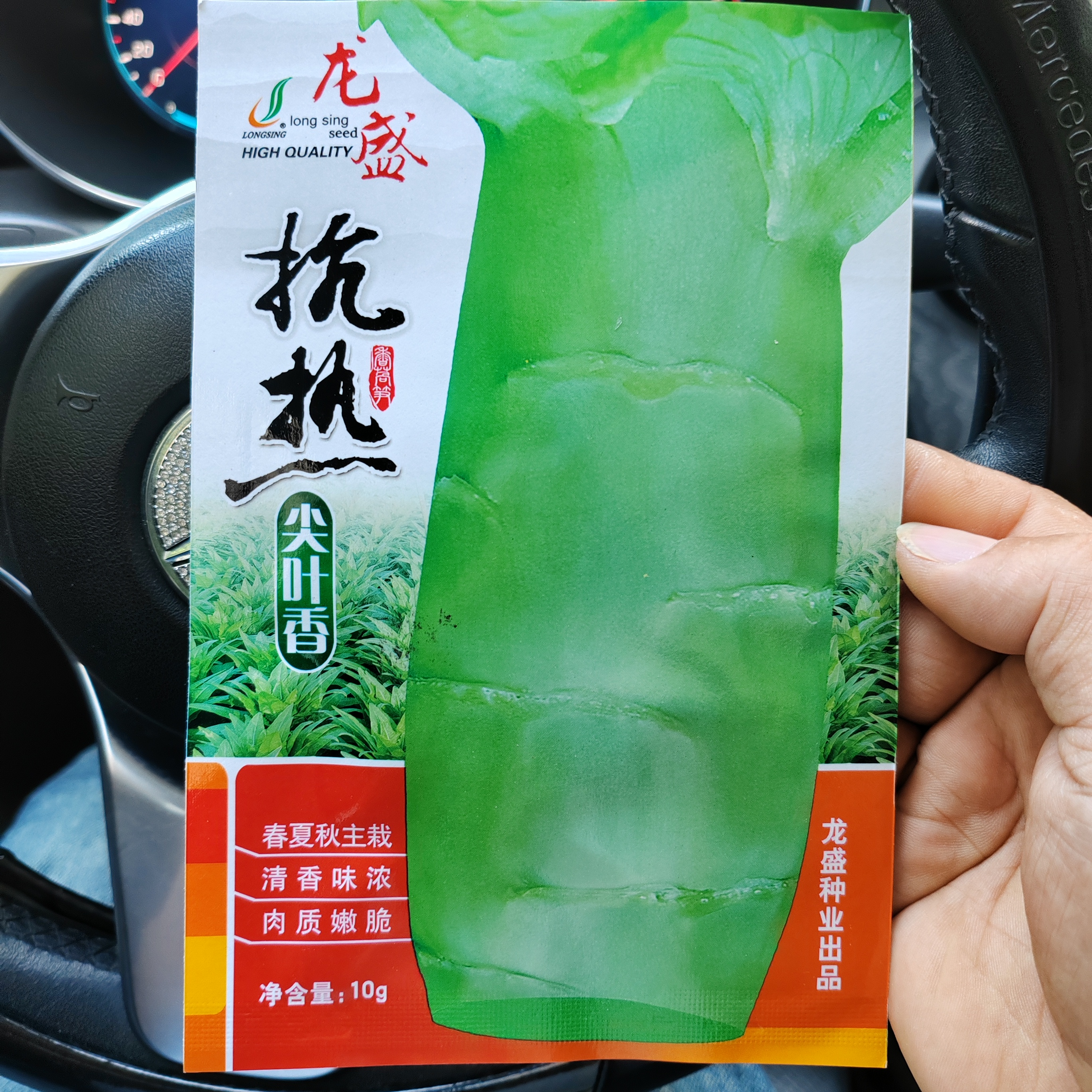 4#抗热青皮青肉莴苣种籽