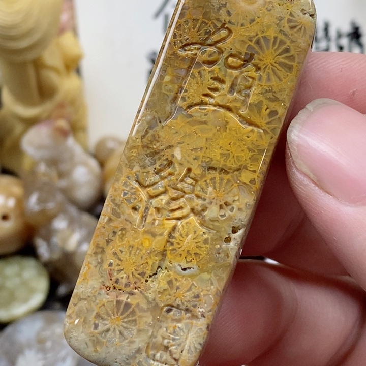 颈饰未镶嵌硅化珊瑚（珊瑚玉）有瑕