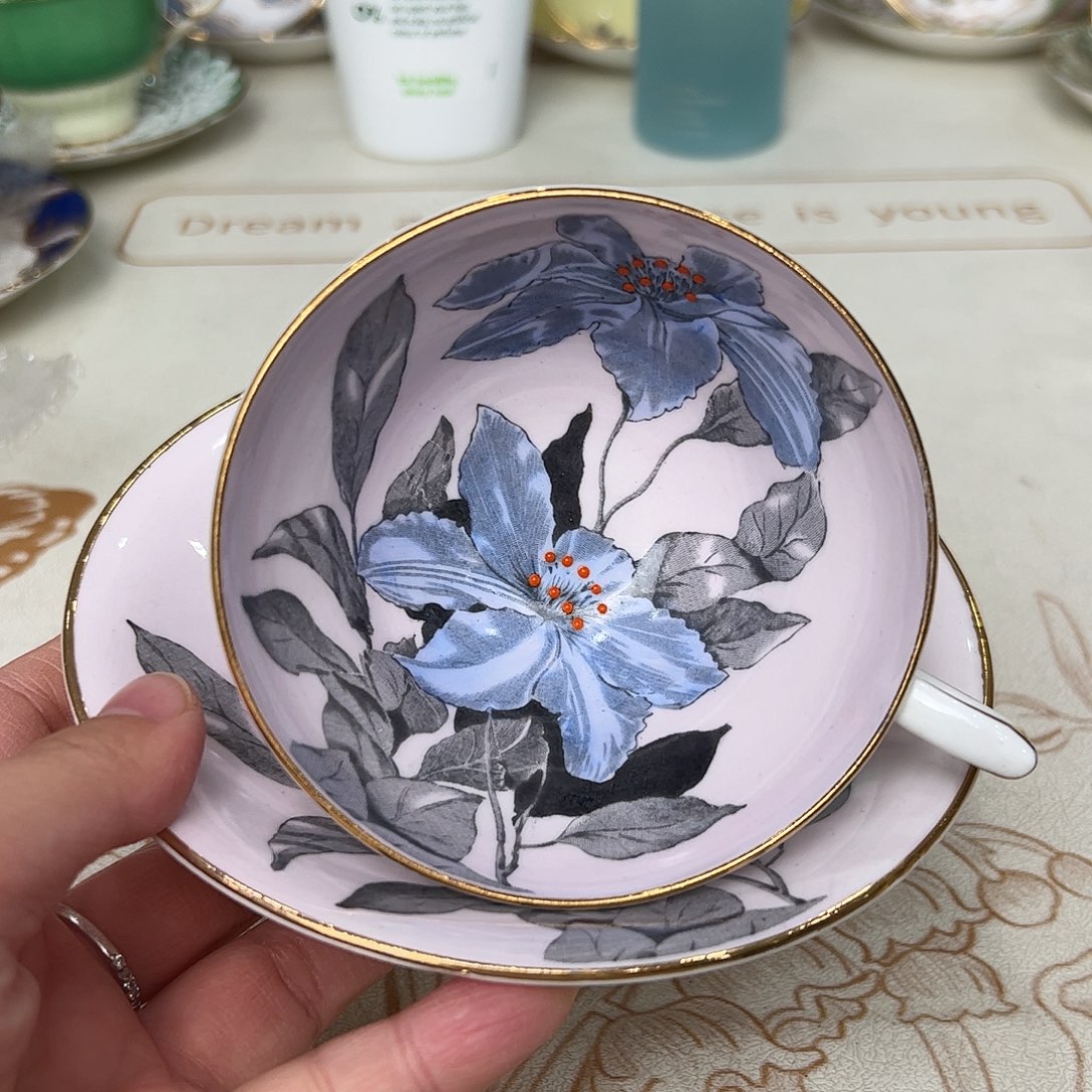 盘维多利亚欧洲中古