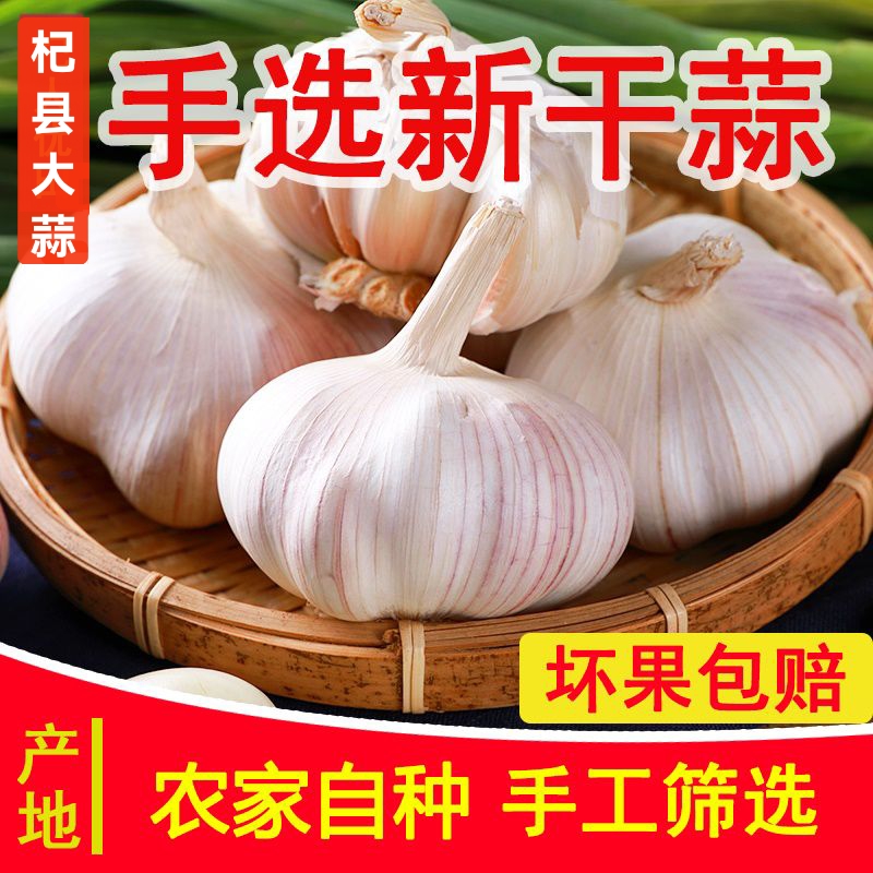 《高品质农家紫白皮新干蒜-助农补贴专用》自种产地直发整箱批发