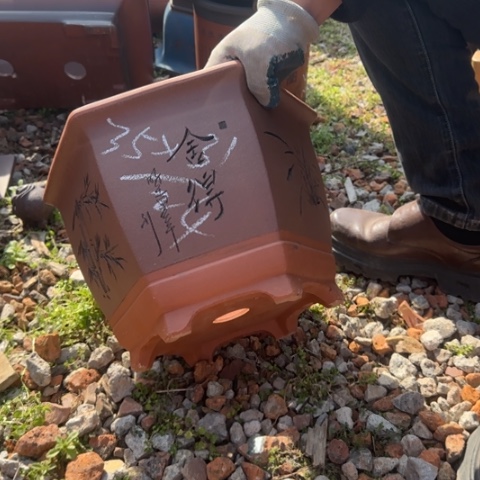 紫砂花盆紫砂花盆盆景盆栽