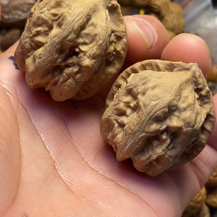 吊坠桃核东北东北特产15