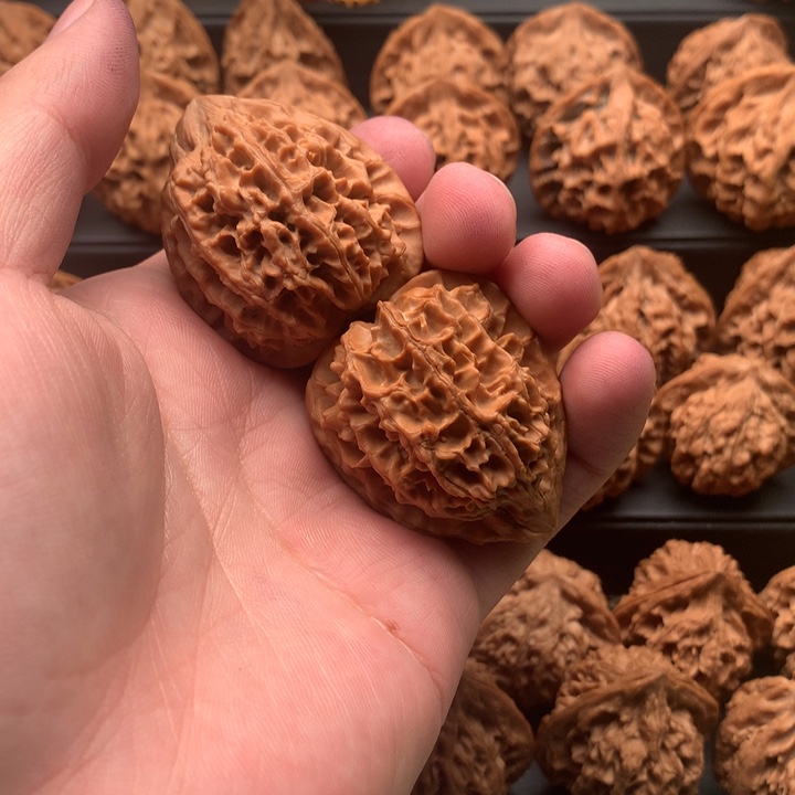 其他核桃F****y秦岭鸡心