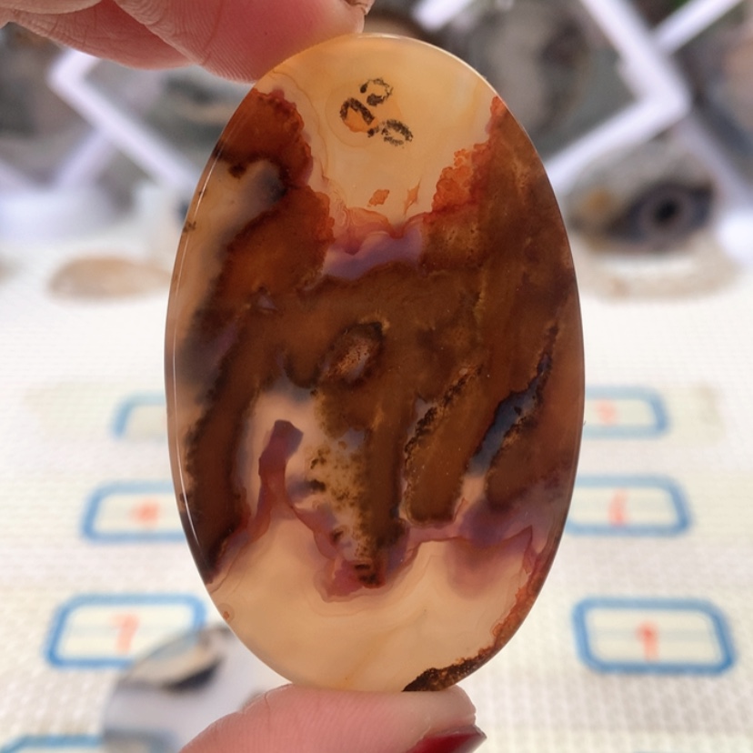 【闪购商品】玛瑙/玉髓颈饰合金