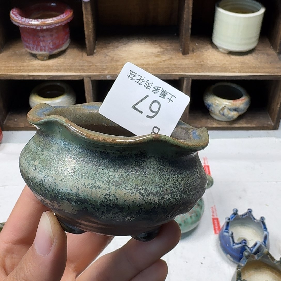 罐养****猪陶瓷艺术与工艺