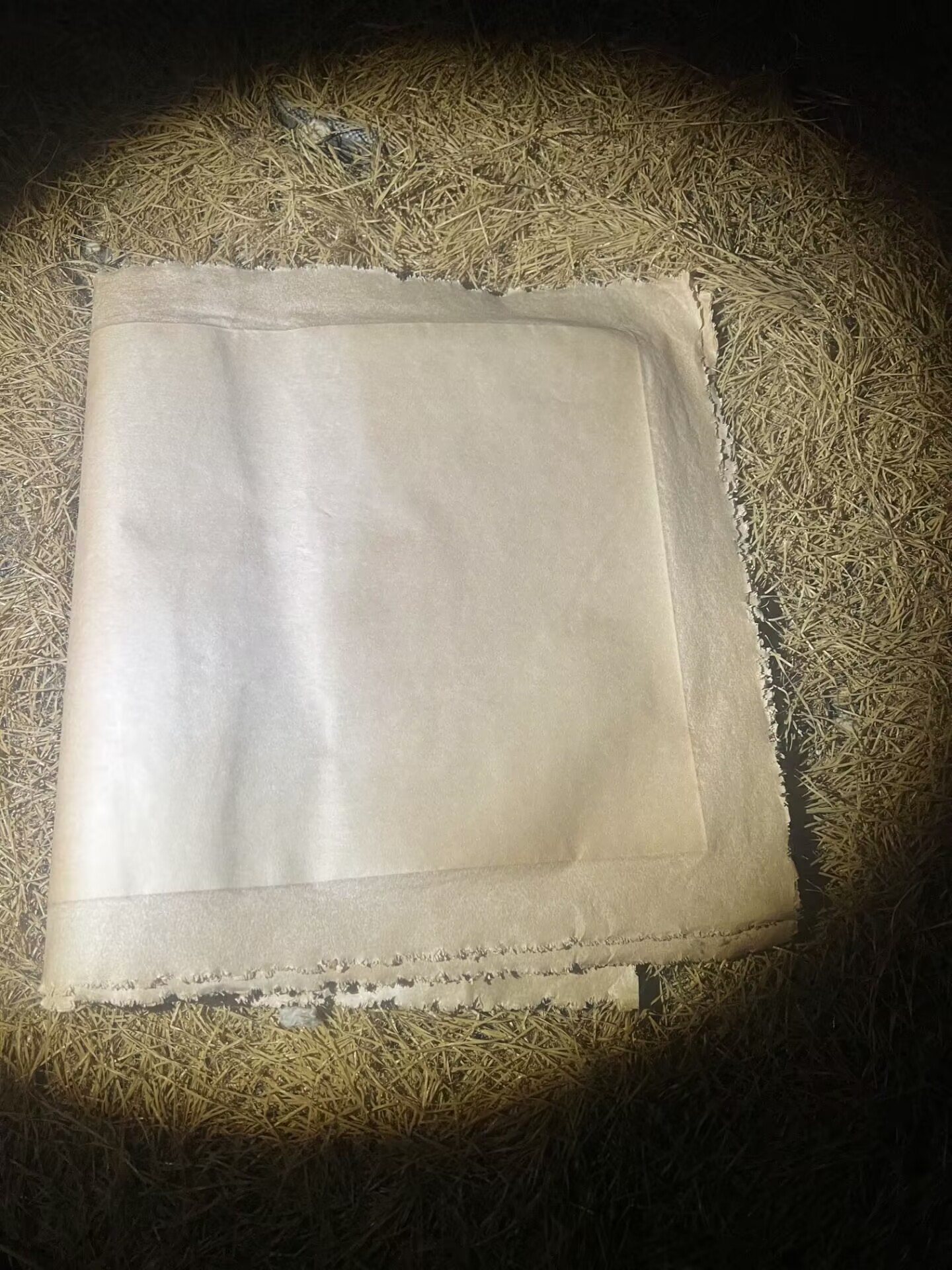精选家居摆件120鹿 精选家居摆件 精选家居摆件 现代仿古摆件