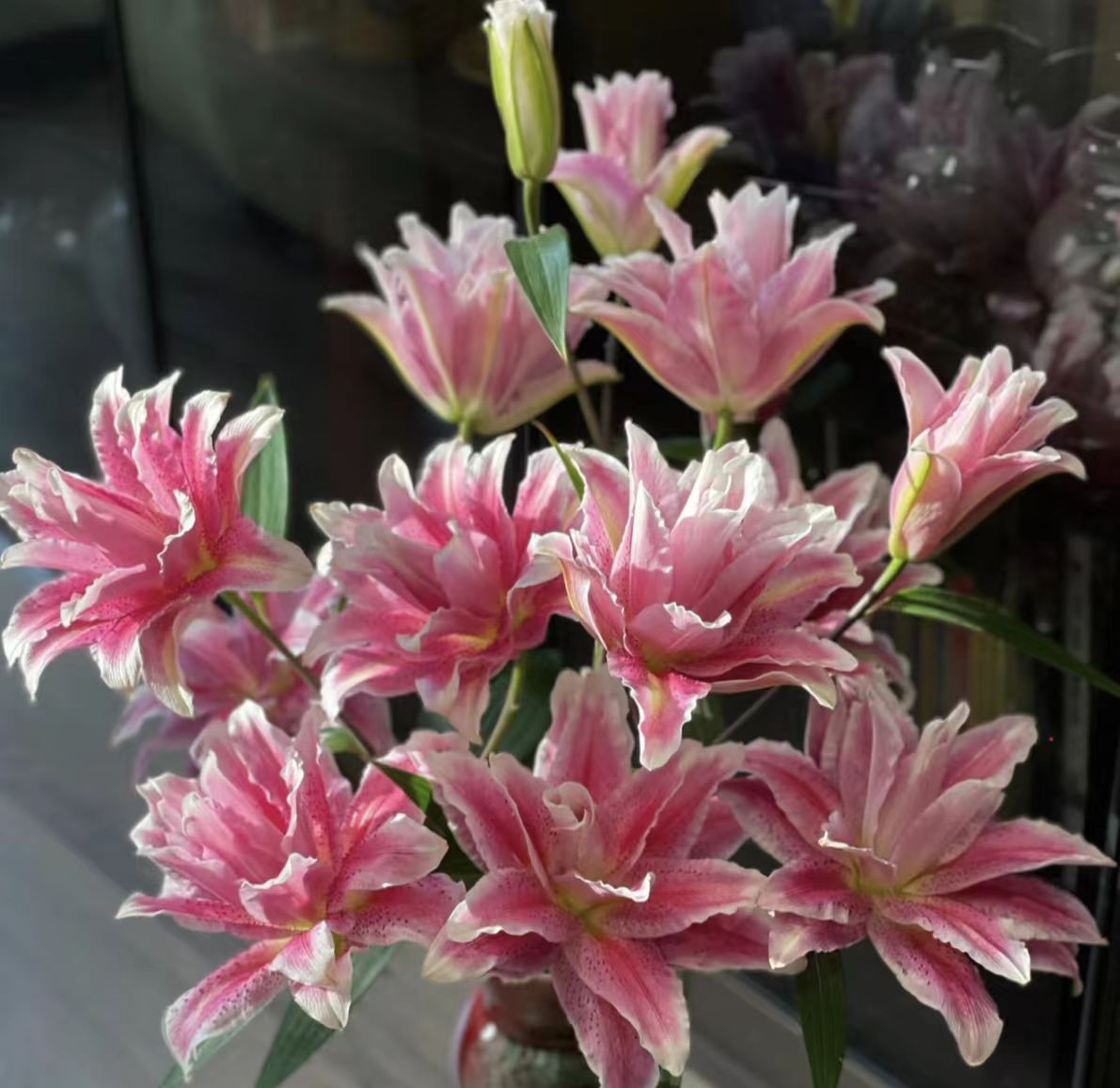 YZ【迪奥重瓣百合5支】全场任意满两单鲜花升级快递