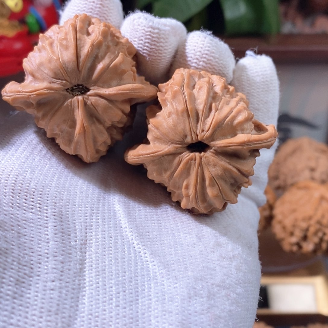 文玩核桃吊坠野生