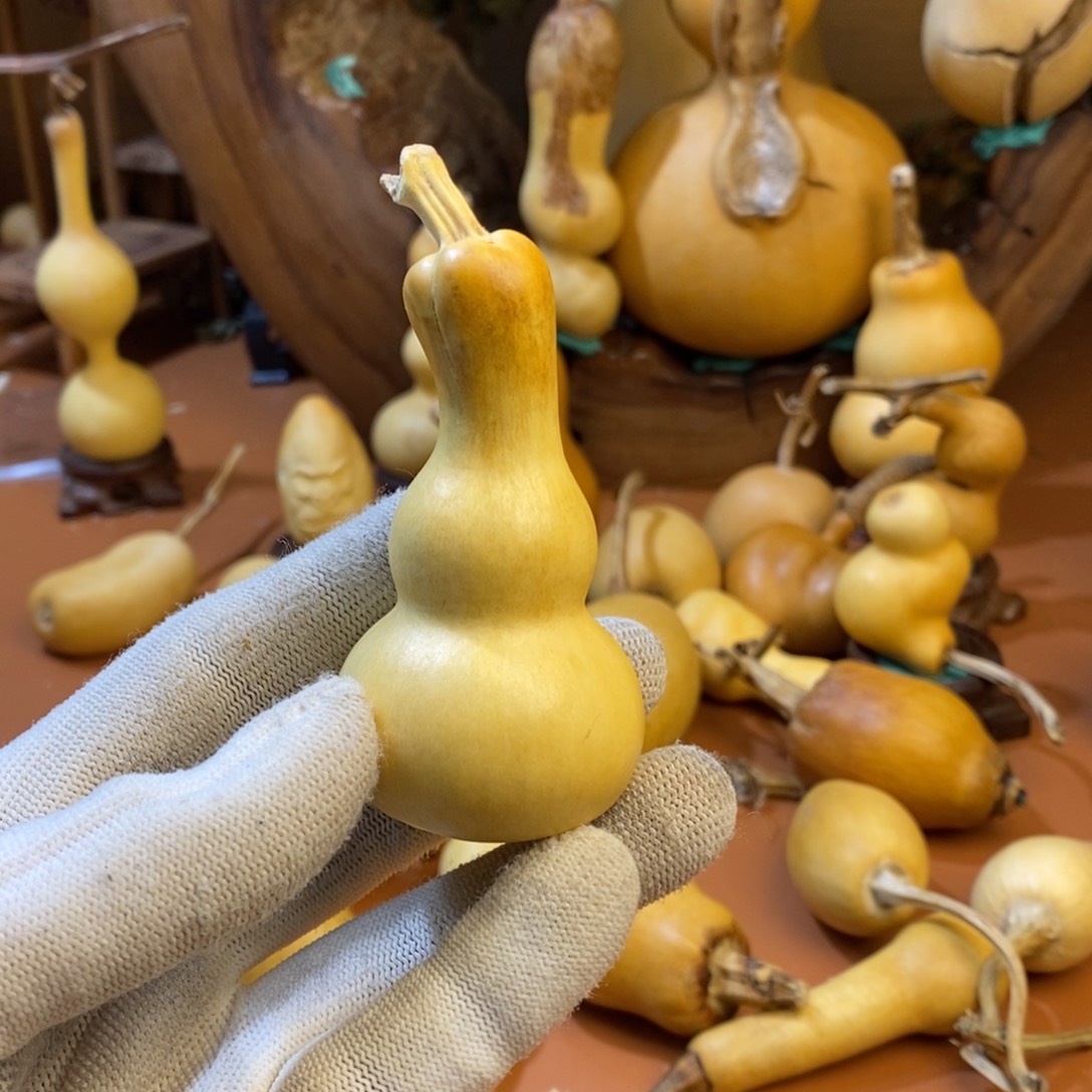 三***少教练教练咯哦哦哦哦你