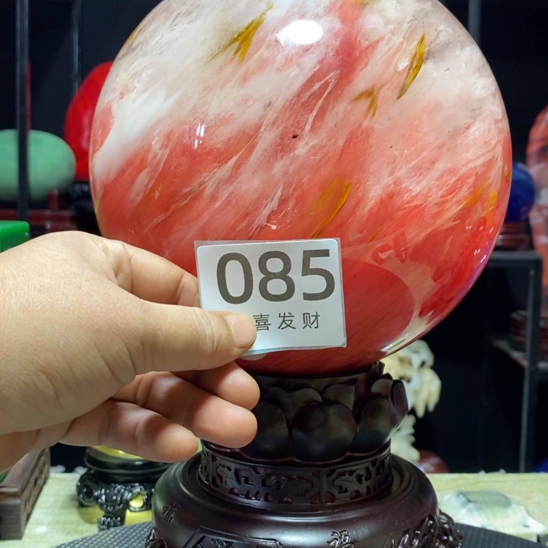 茶宠画*我在这里等你