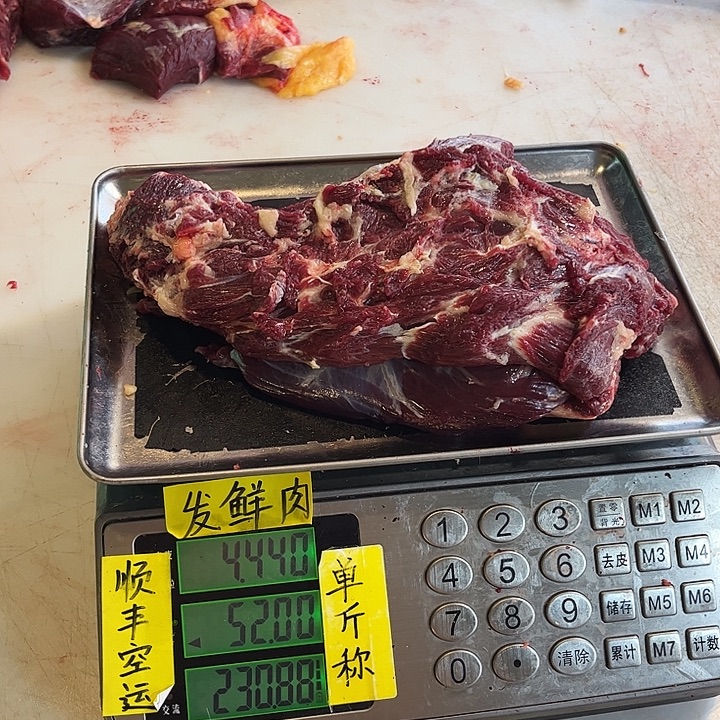 老***家18是法国后健健康康