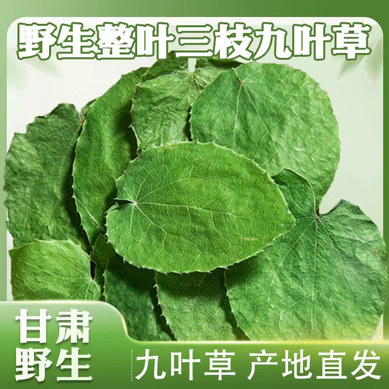 甘肃岷县野生纯叶片三枝九叶草小圆叶产地直发泡水煮茶泡8+1