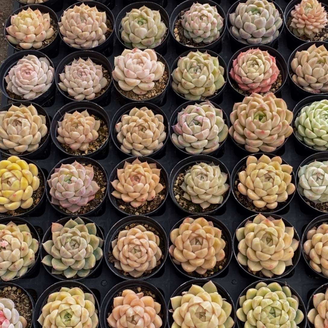 大***?416的人在一起的时候就