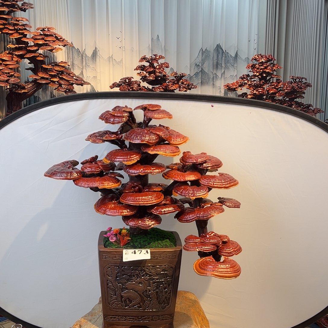 无花朵88888888888