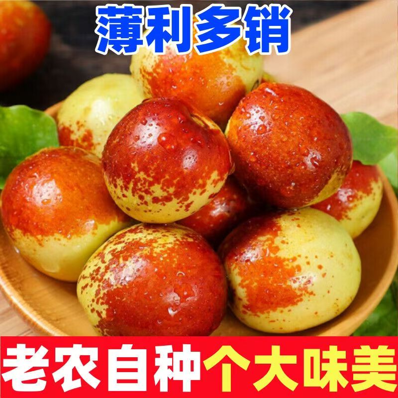 陕西大荔头茬冬枣脆甜5枣子新鲜当季水果鲜枣原产地直发整箱包邮3