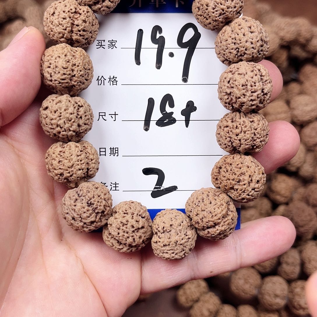 手串金刚菩提2号