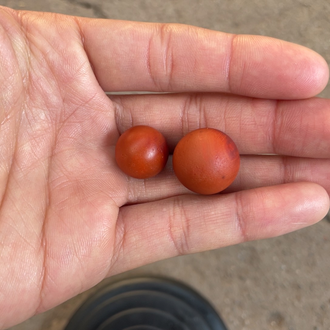 未镶嵌配饰南红玛瑙