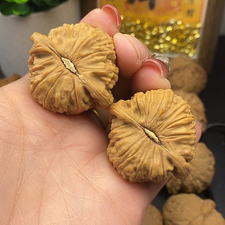 大叶紫檀（黑酸枝木类）白师子40