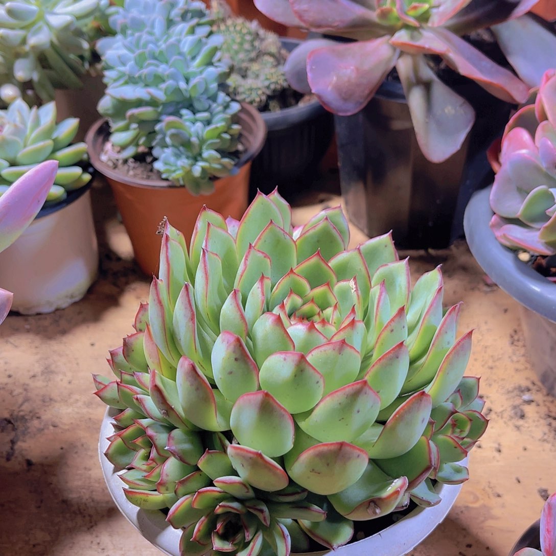 尋***歡0000000000000000000312