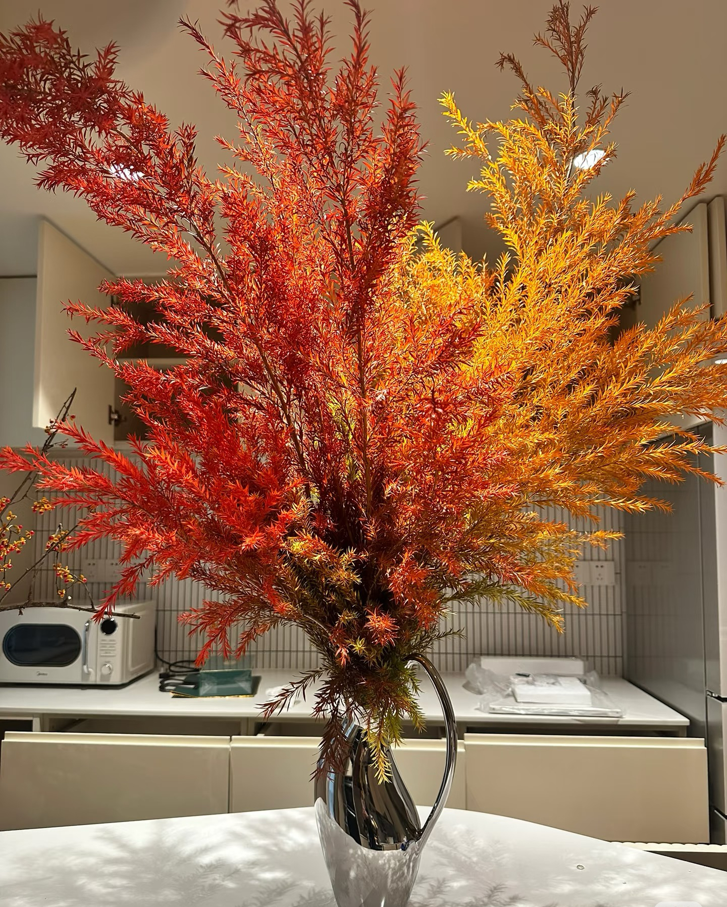 氧花季 千层金黄金香柳一单包邮 云南直发