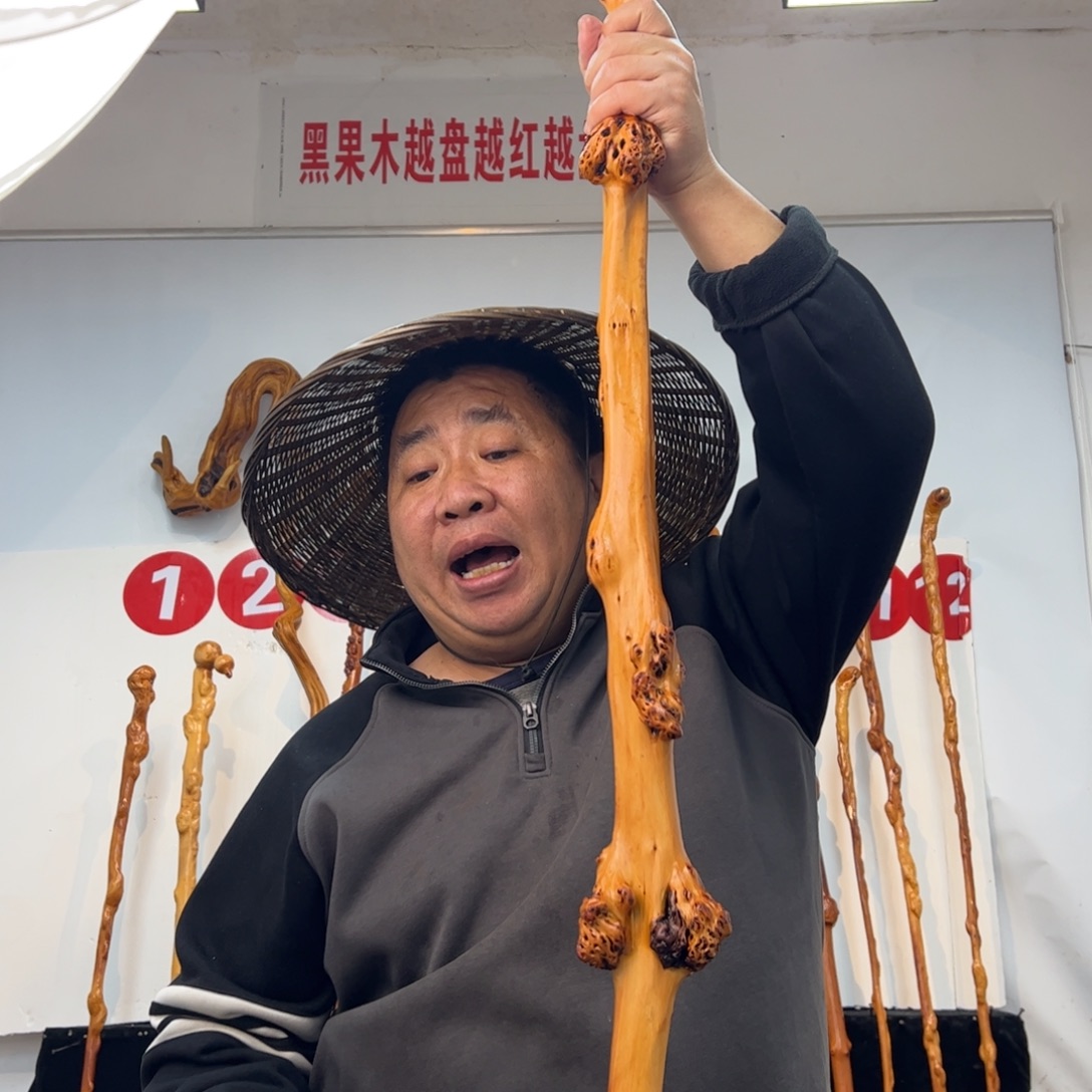 新***多黑果木其他黑果木605