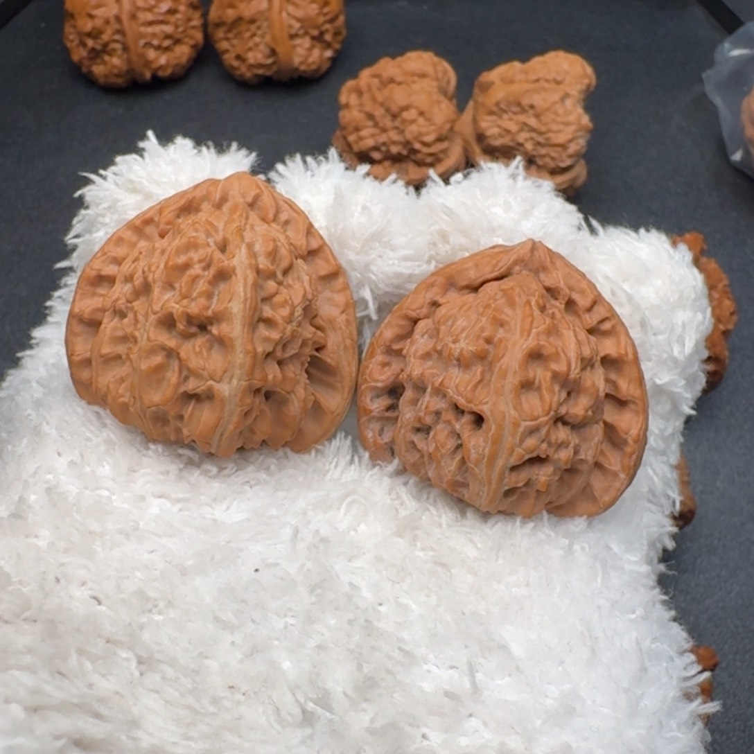 文玩核桃把件白狮子三角白