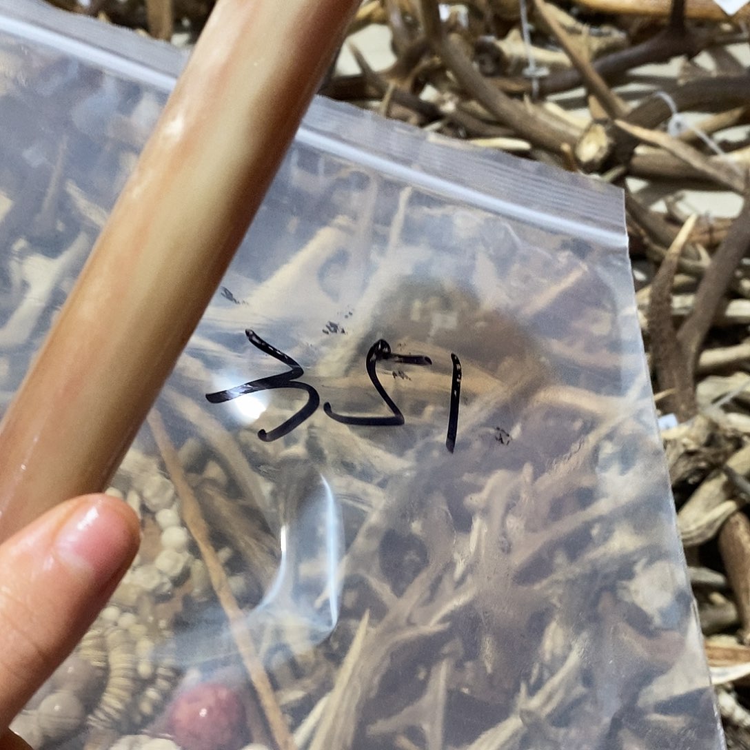 大***到非金属鹿角鹿角鹿角