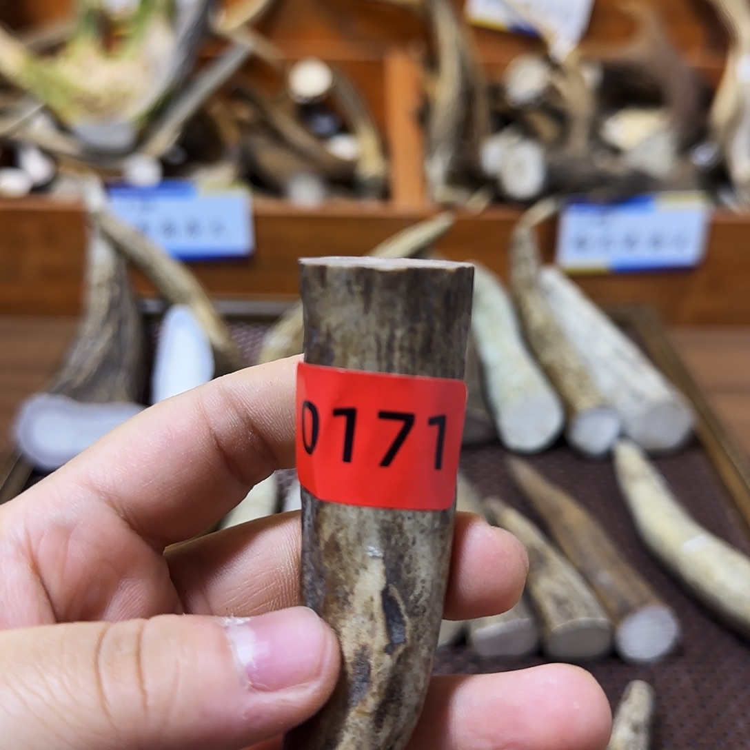 手串/手链鹿骨角尖0171