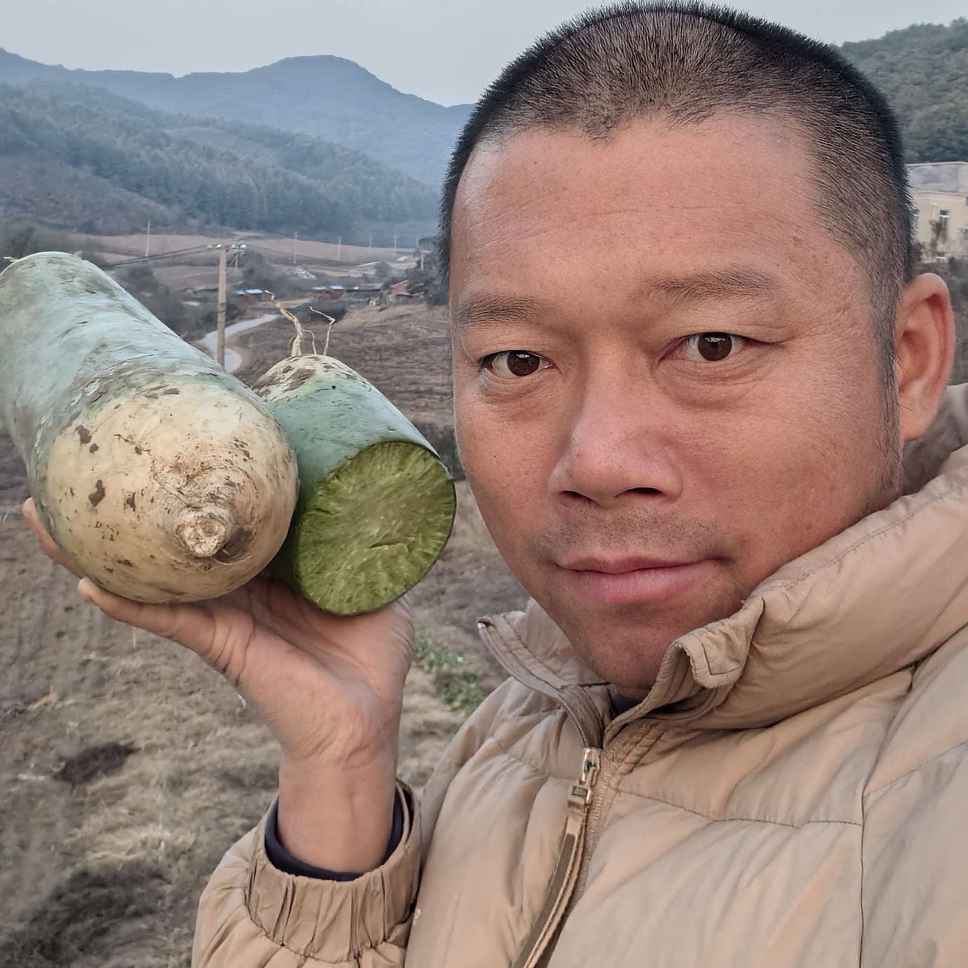 杨教授东北漂亮萝卜