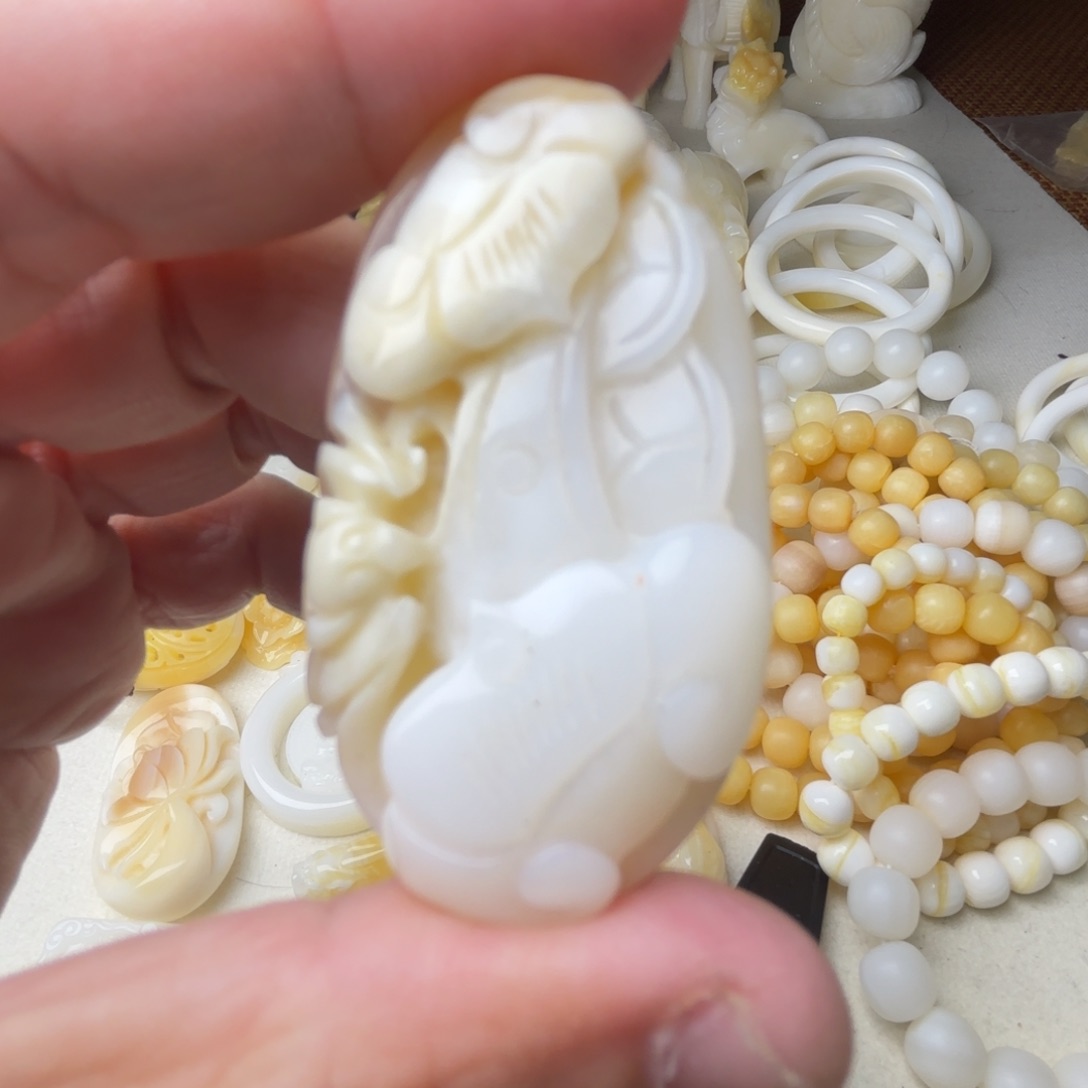 非金属贝壳y*天然贝